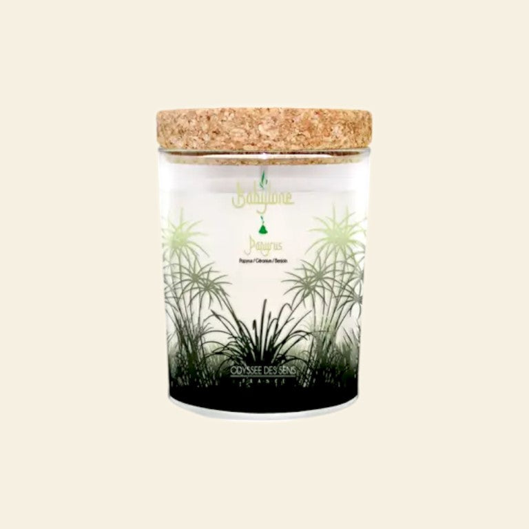 "Il Faraone d’Olanda" - Petite Box Letteraria