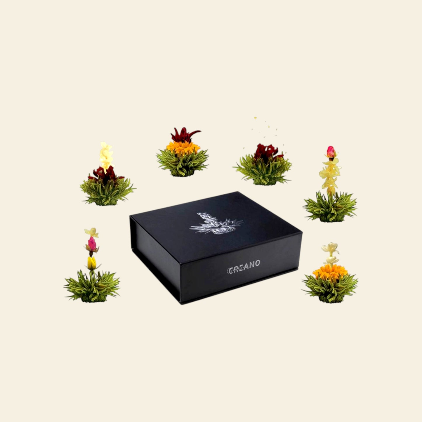 "I miei giorni alla libreria Morisaki" - Petite Box Letteraria