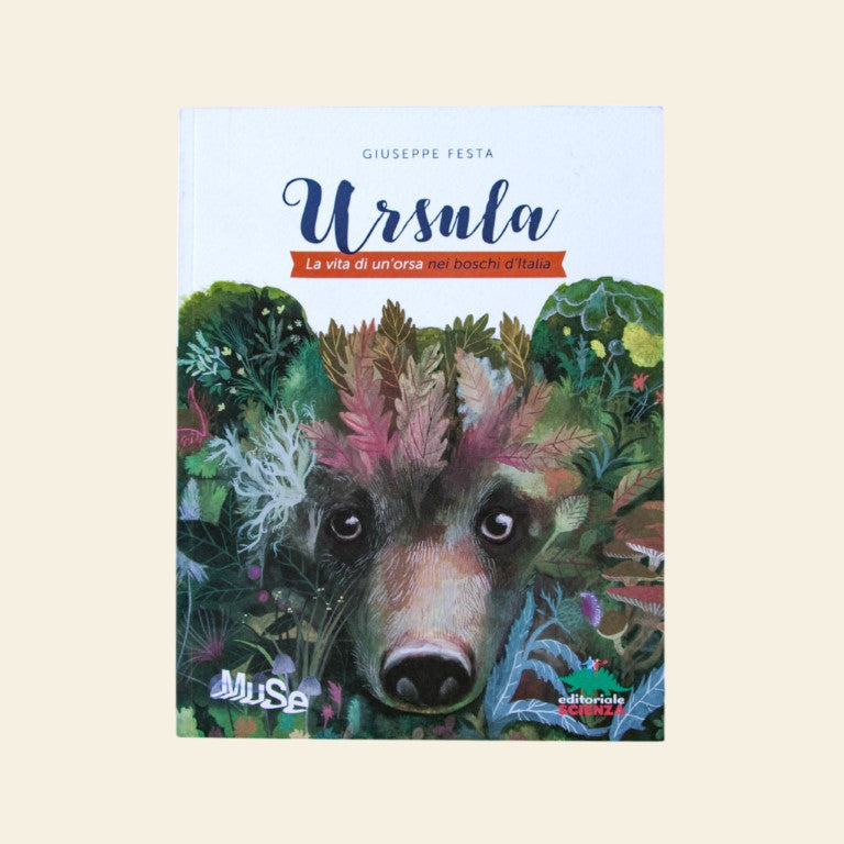 "Ursula. La vita di un'orsa nei boschi d'Italia" - Petite Box Letteraria - Età di lettura: da 8 anni