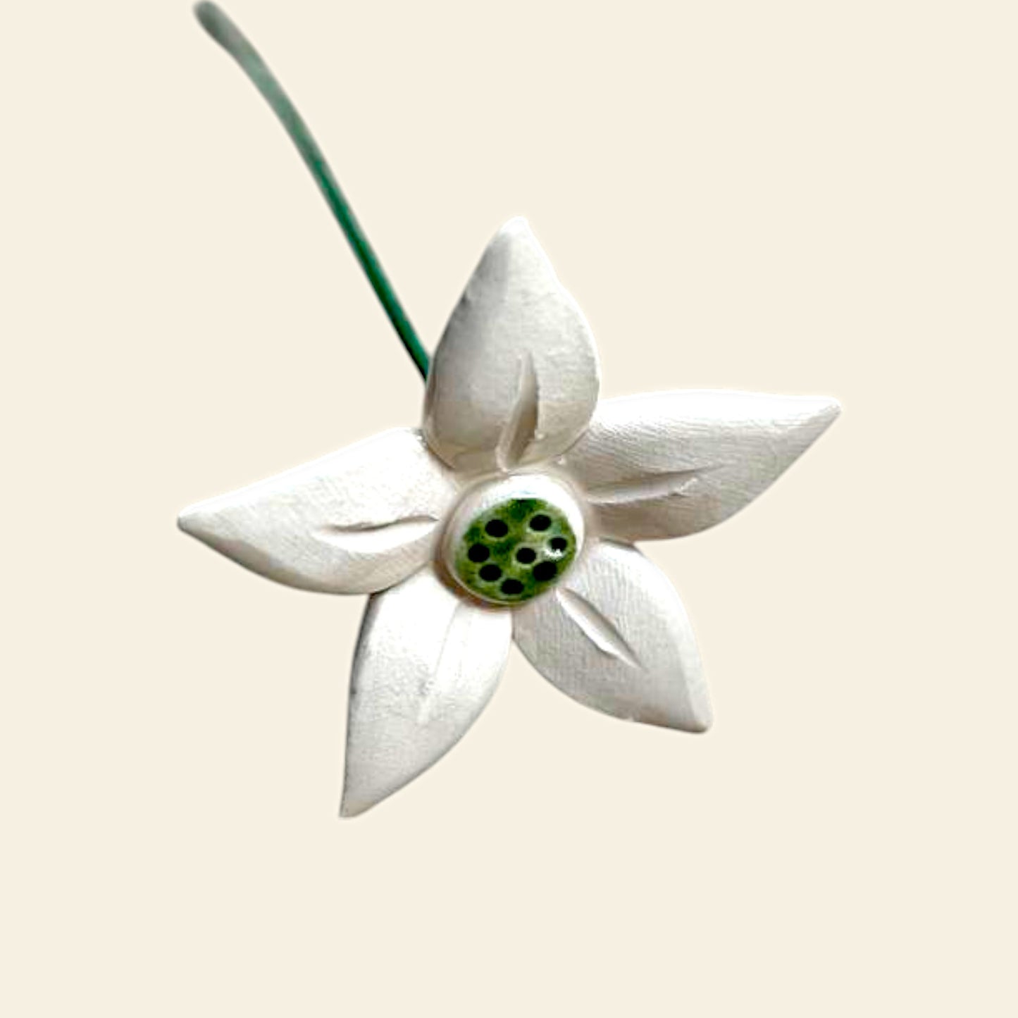 "Fiore di Roccia" - Petite Box Letteraria