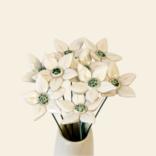 "Fiore di Roccia" - Petite Box Letteraria