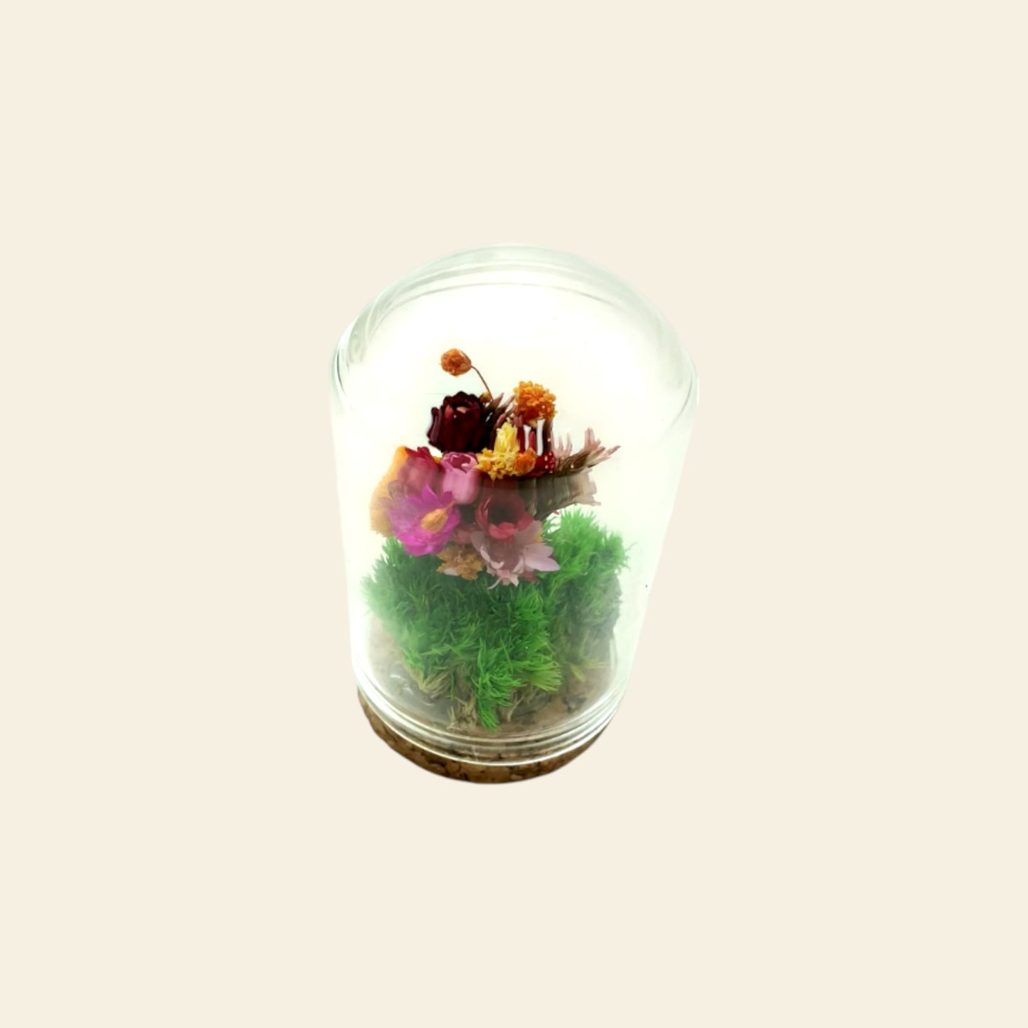 "Come Non Uccidere le Tue Piante" - Petite Box Letteraria