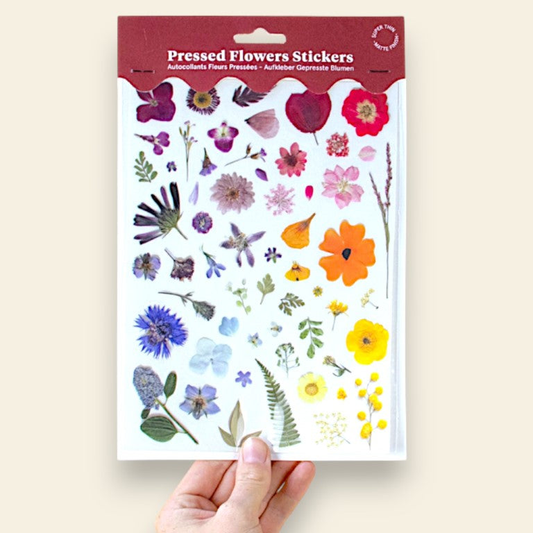 "Il viaggio della strega bambina" - Petite Box Letteraria - Adulti e ragazzi dai 12 anni in su