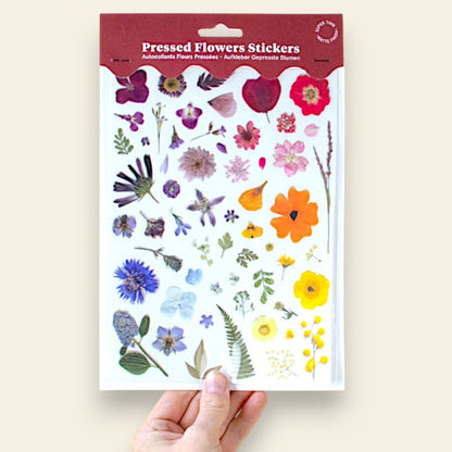 "Il viaggio della strega bambina" - Petite Box Letteraria - Adulti e ragazzi dai 12 anni in su