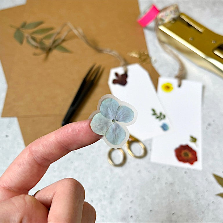 "Il viaggio della strega bambina" - Petite Box Letteraria - Adulti e ragazzi dai 12 anni in su