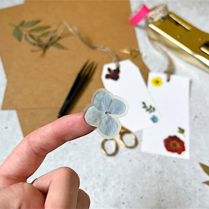 "Il viaggio della strega bambina" - Petite Box Letteraria - Adulti e ragazzi dai 12 anni in su