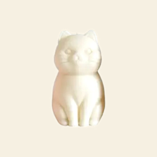 Candela Gatto Bianco