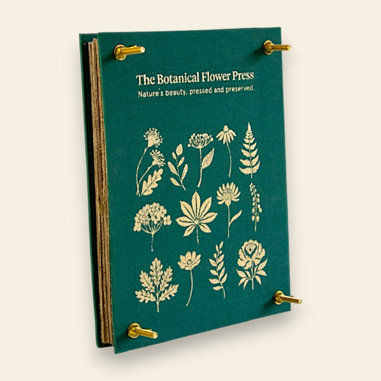 "Nelle Terre Estreme" - Petite Box Letteraria