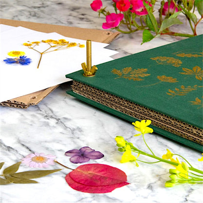 "Nelle Terre Estreme" - Petite Box Letteraria