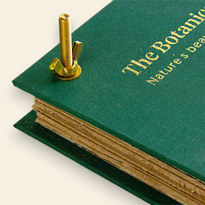 "Nelle Terre Estreme" - Petite Box Letteraria