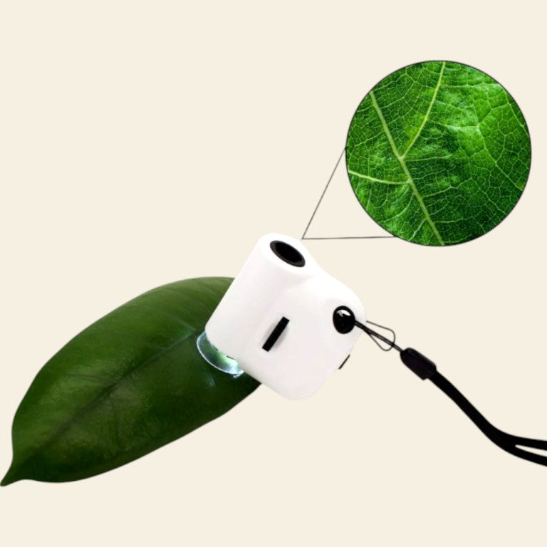 "Come Non Uccidere le Tue Piante" - Petite Box letteraria Plant Serial Killer