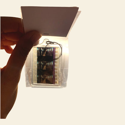 "La Ragazza che Amava Miyazaki" - Petite Box Letteraria - Adulti e ragazzi dai 12 anni in su