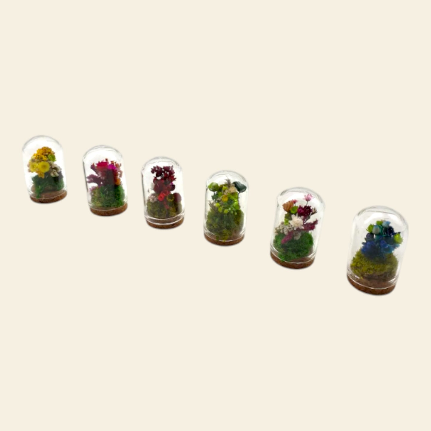 "Come Non Uccidere le Tue Piante" - Petite Box letteraria Plant Serial Killer